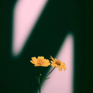 岩崎千鹤老熟女HD
